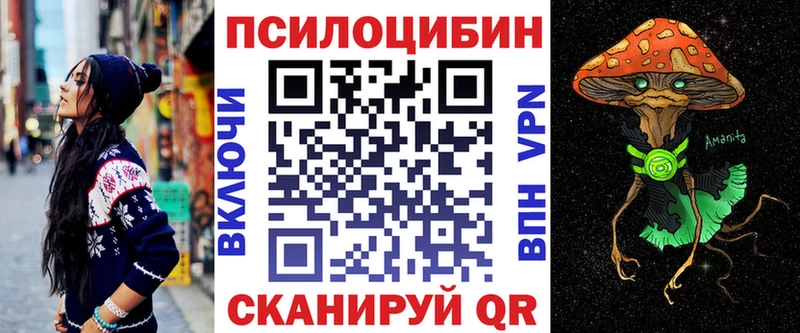 где найти   Новотитаровская  Галлюциногенные грибы мухоморы 